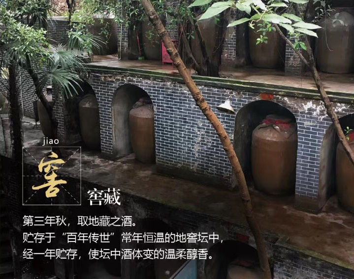 窖藏 窖藏