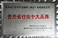 貴州省行業十大(dà)品牌 貴州省行業十大(dà)品牌